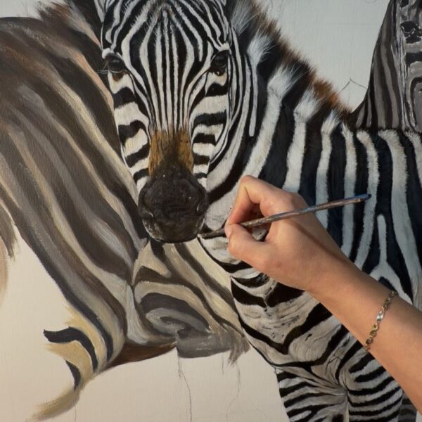 Zebra